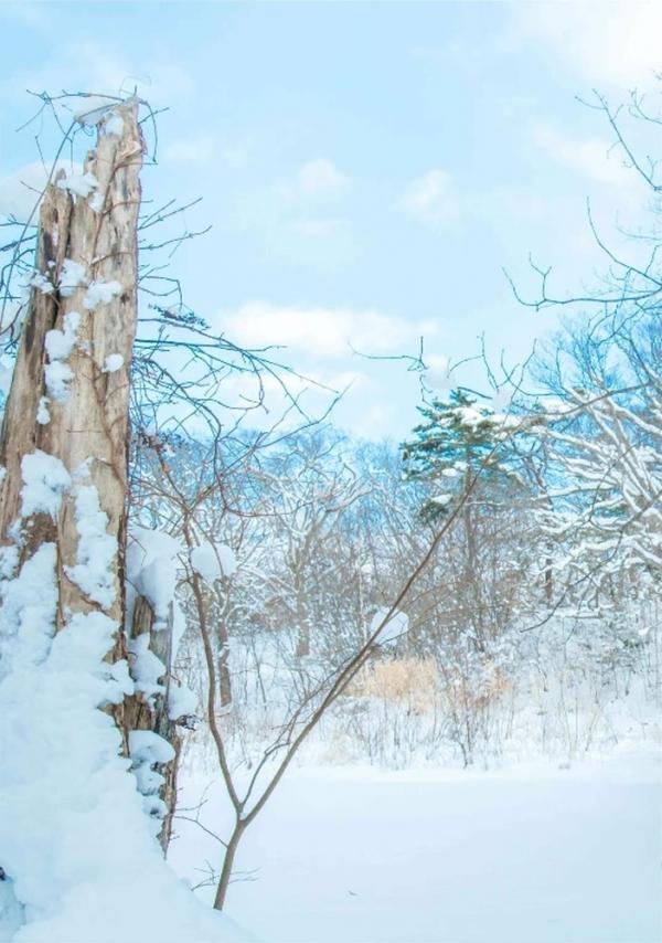 Whoseman-10-犬系男孩-安東尼-北海道特別企劃